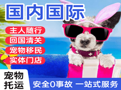 连云港花果山航空货运国际宠物托运 【国